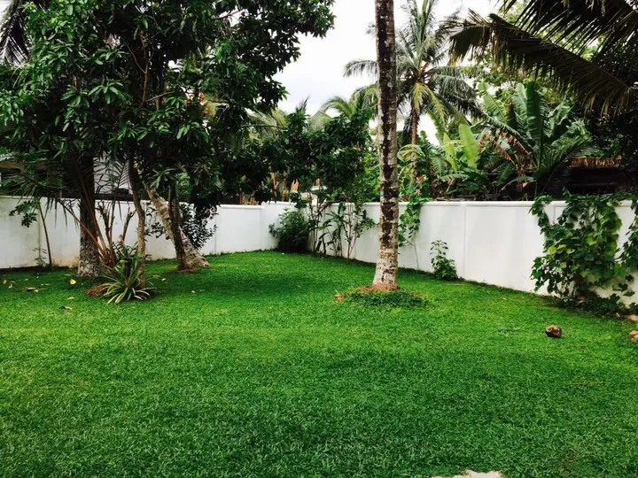 Берувела: New White House