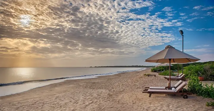 Куччавели: Jungle Beach Resort