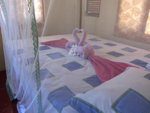 Калпития: Gloria Guesthouse