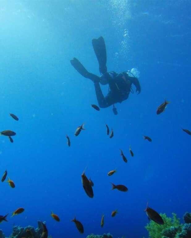 Унаватуна: Thambara Villa Unawatuna