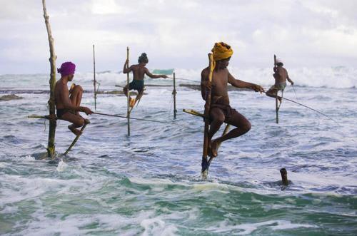 Унаватуна: Thambara Villa Unawatuna