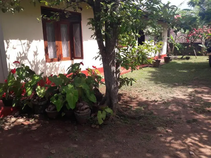 Унаватуна: Pradeepa house