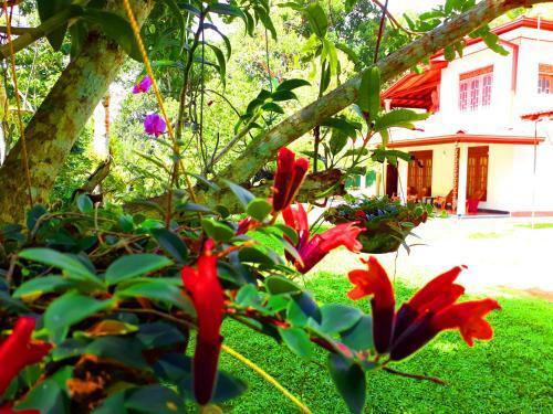 Ахангама: Nisala Villa - MIDIGAMA