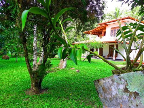 Ахангама: Nisala Villa - MIDIGAMA