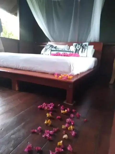 Dambulla Tree House — фото 3