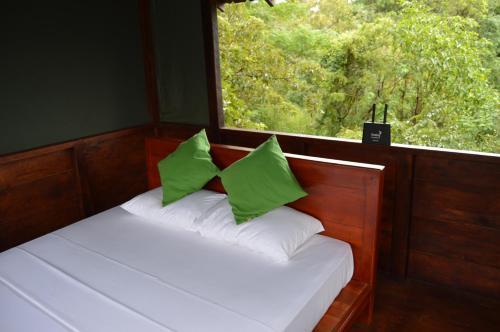 Дамбулла: Dambulla Tree House