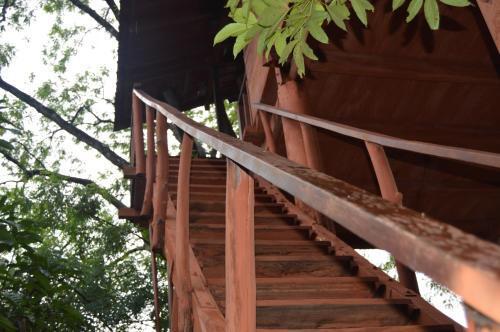Дамбулла: Dambulla Tree House