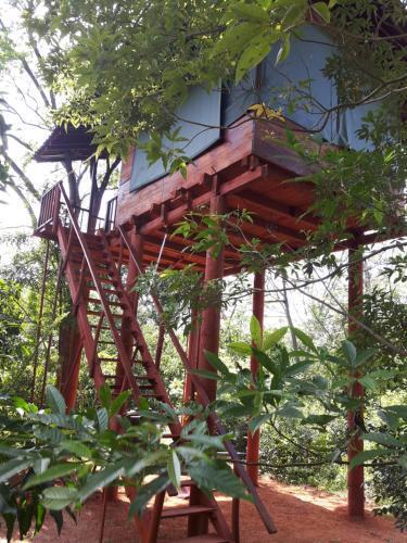 Дамбулла: Dambulla Tree House