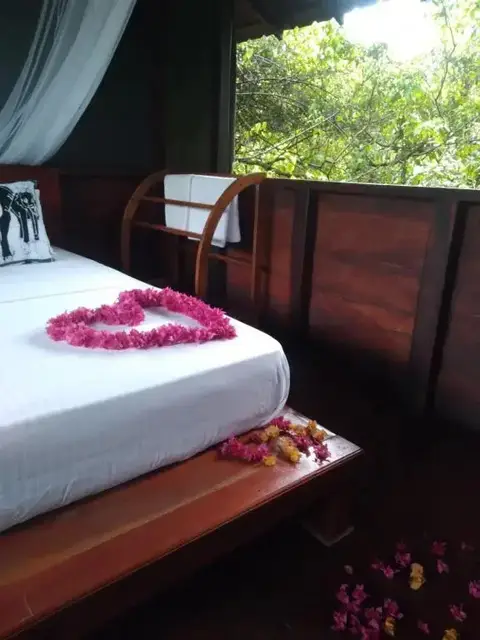 Dambulla Tree House — фото 1