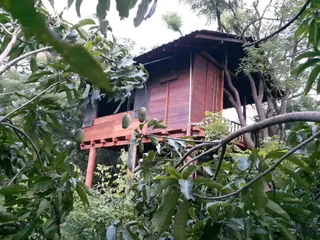 Дамбулла: Dambulla Tree House