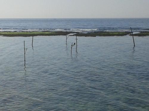 Валгама: Sunset Surfing Beach Resort