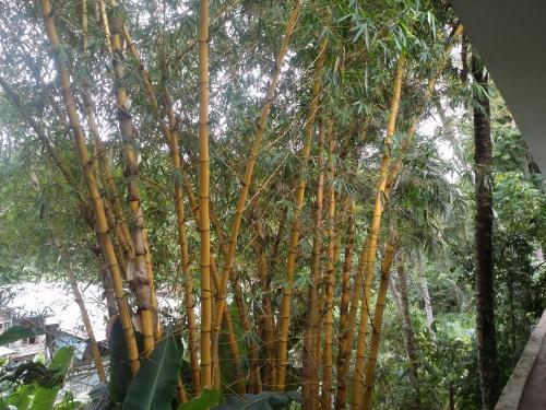 Канди: Green Fall Kandyan Rest
