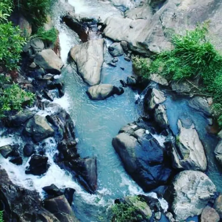 Samadhi Nature Resort Ella — фото 1