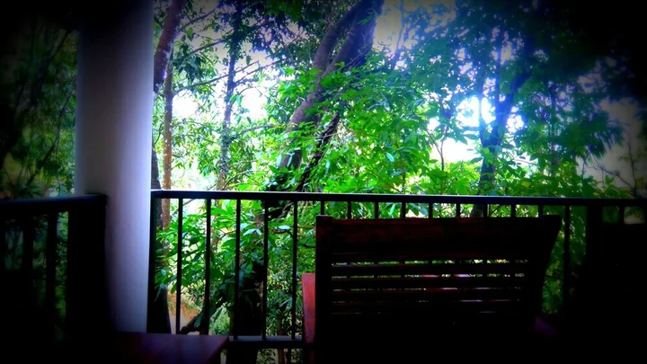 Элла: Samadhi Nature Resort Ella