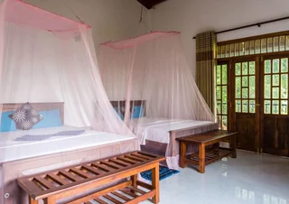 Элла: Samadhi Nature Resort Ella