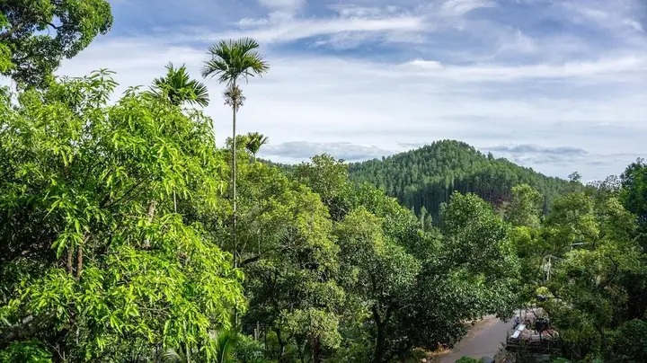 Samadhi Nature Resort Ella — фото 2