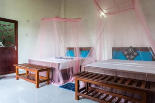Элла: Samadhi Nature Resort Ella