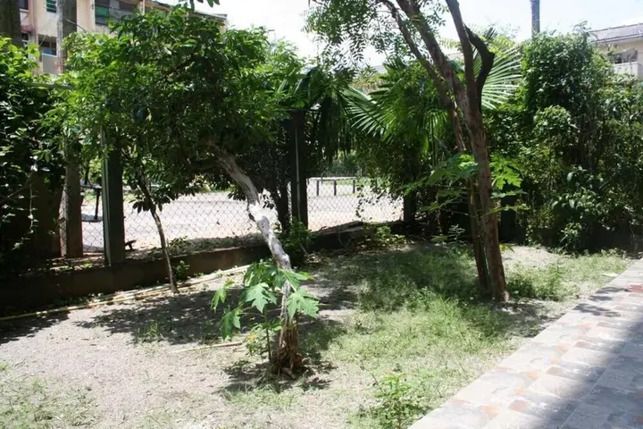 Коломбо: Bamba Flat