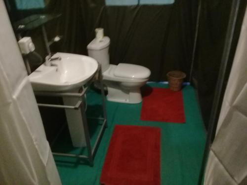 Элла: Ella Glamping