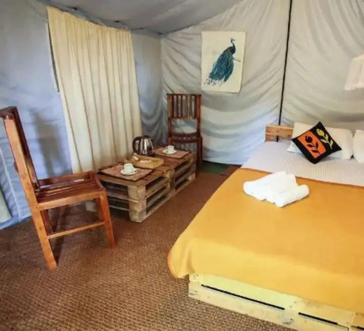 Ella Glamping — фото 2