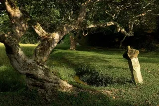 Бентота: Lunuganga Estate