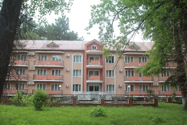 Шепси: Пансионат Энергетик