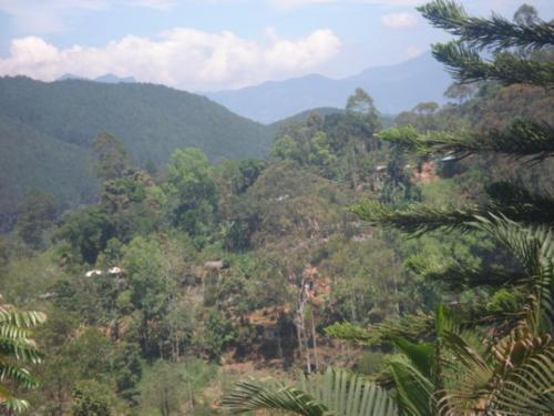 Бандаравела: Mountview Holiday Inn - Bandarawela City