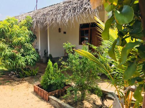 Аругам-Бэй: Starfish Beach Bungalows