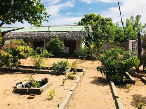 Аругам-Бэй: Starfish Beach Bungalows