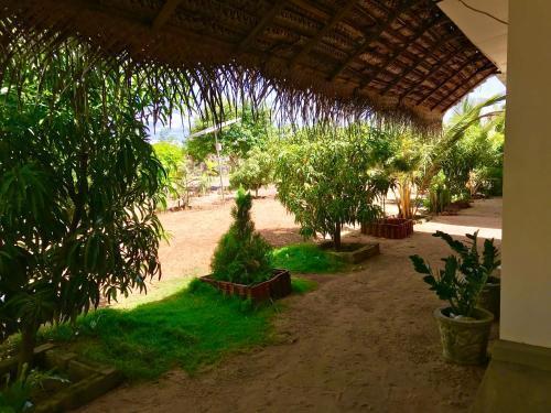 Аругам-Бэй: Starfish Beach Bungalows