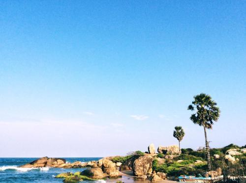 Аругам-Бэй: Starfish Beach Bungalows