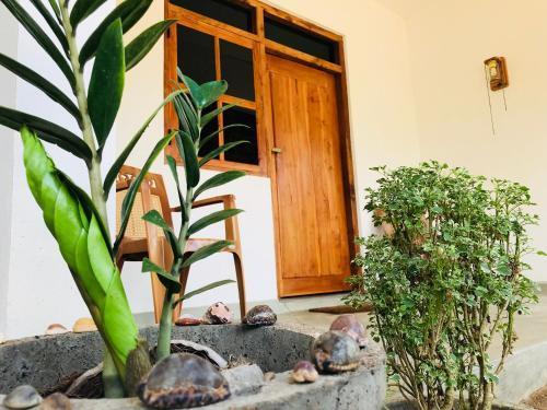 Аругам-Бэй: Starfish Beach Bungalows