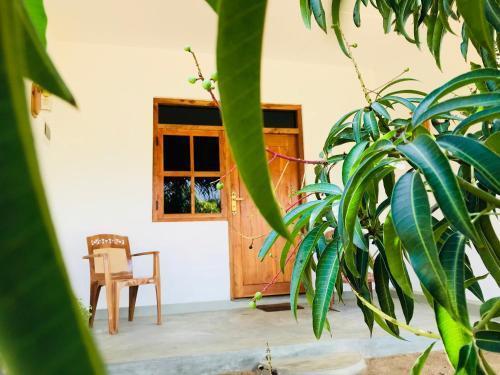 Аругам-Бэй: Starfish Beach Bungalows