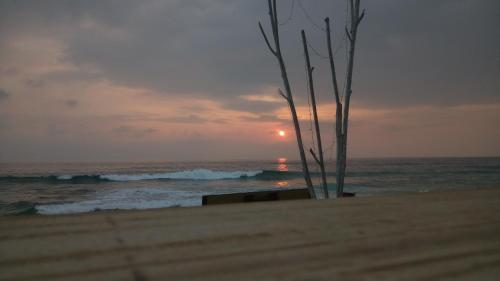Хиккадува: VIP Beach Bungalow