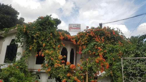 Канди: Olivia Residence and Hostel