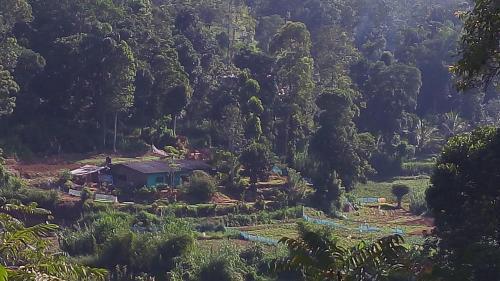 Бандаравела: Homestay villa