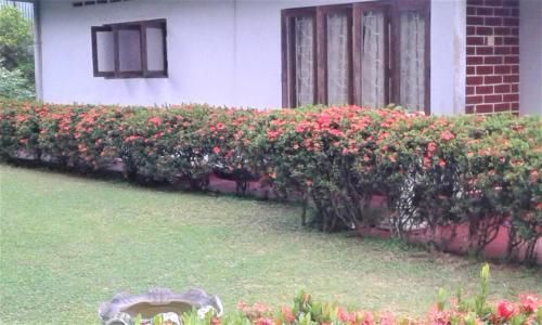Isuruvi Homestay Piliyandala — фото 1