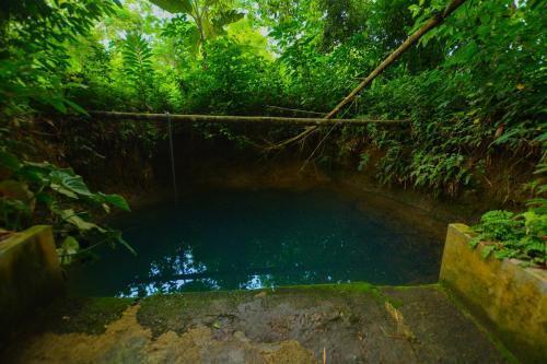 Пиннавала: Eco Garden & Heritage Home - Mirigama, Sri Lanka