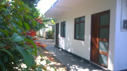 Augusto @ Midigama — фото 2