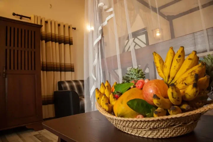 Пиннавала: Villa Pinnawala
