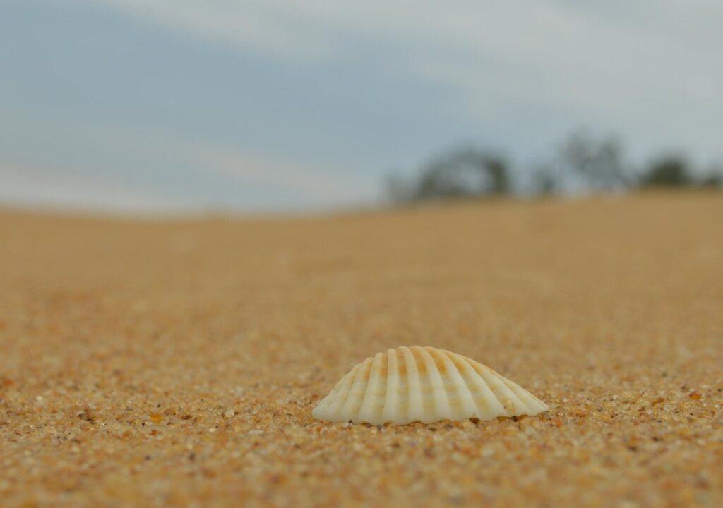 Wild Sands Beach Villa — фото 3