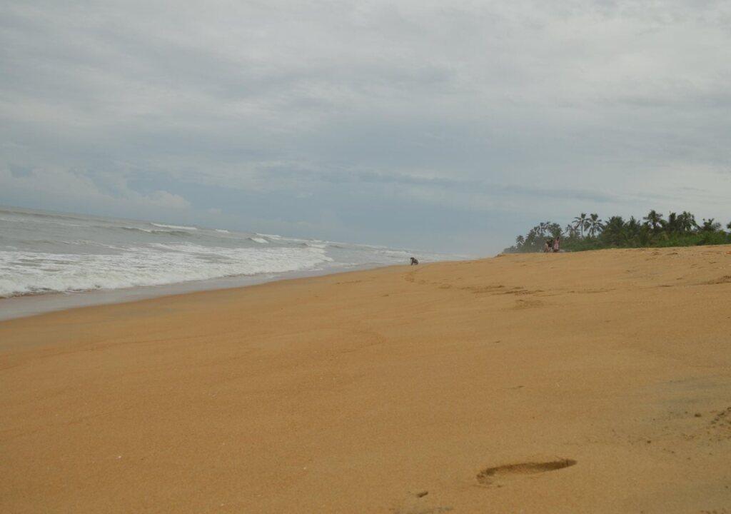 Панадура: Wild Sands Beach Villa
