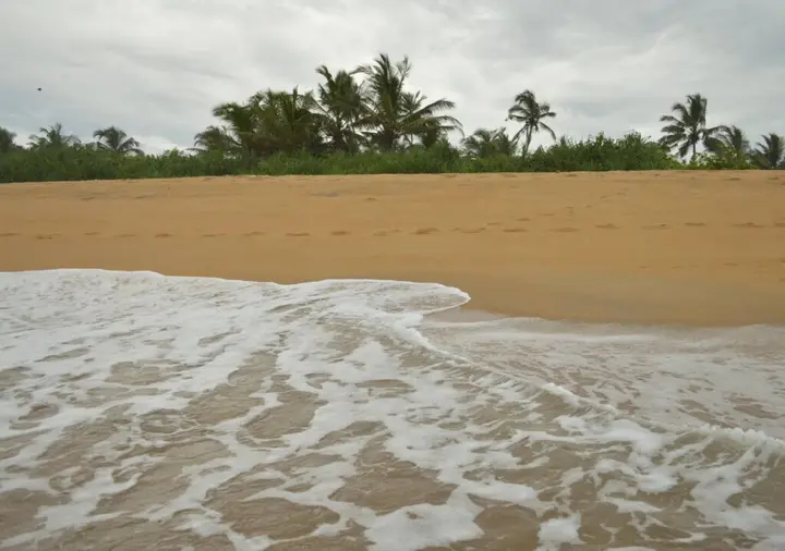 Панадура: Wild Sands Beach Villa
