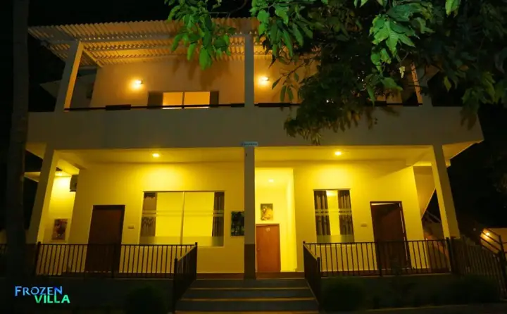 Frozen Villa — фото 1