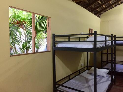 Аругам-Бэй: Lemon Tree Hostel