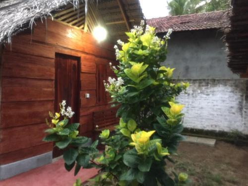 Lemon Tree Hostel — фото 5