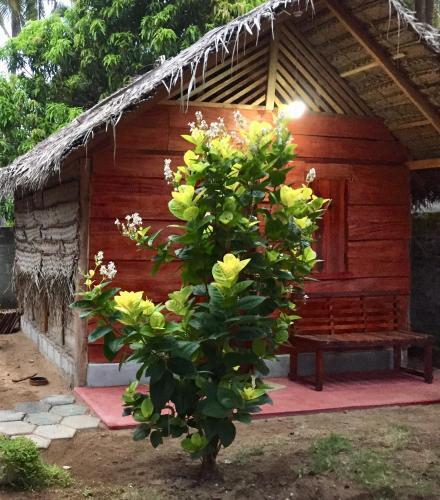 Lemon Tree Hostel — фото 3