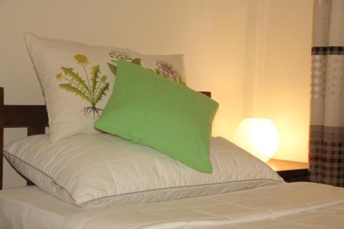 Дамбулла: Evergreen Hotel Dambulla