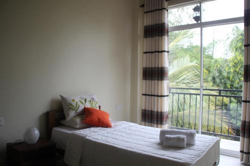 Дамбулла: Evergreen Hotel Dambulla