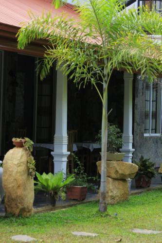 Дамбулла: Evergreen Hotel Dambulla